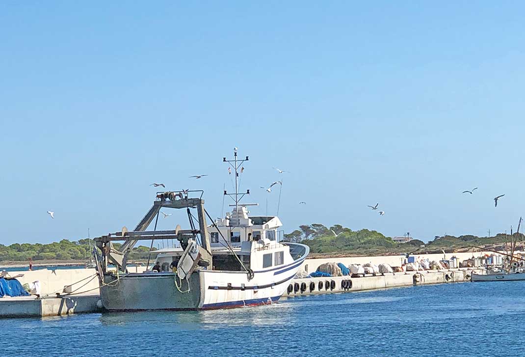 Fischerboot im Hafen La Savina von Formentera