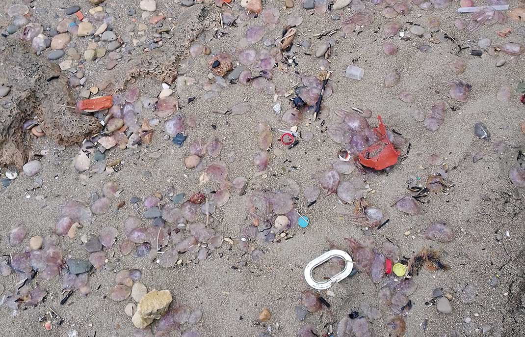 Plastikmüll am Strand von Ibiza