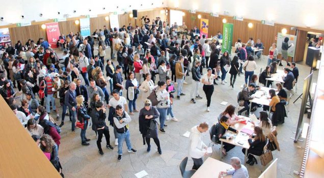 Die Job-Börsen auf Ibiza helfen Kontakte zu knüpfen. Hier in der Gemeinde Santa Eulària. Foto: Rathaus Santa Eulària